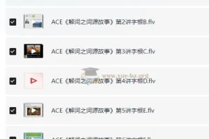 ACE《解词三剑客》速记背单词