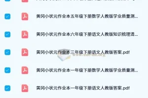 2024春 黄冈小状元作业本