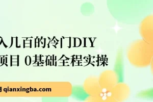 新手也能日入几百的冷门DIY项目，0基础全程实操【揭秘】