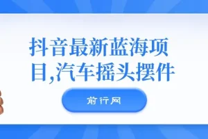 汽车摇头摆件,抖音最新蓝海项目，无门槛0基础操作，日入500+非常简单