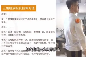 小萝卜四分化健身入门：胸背肩腿基础训练
