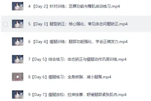 《B站付费课程 – 韩小四：瘦腿直腿居家训练全方案》[MP4]