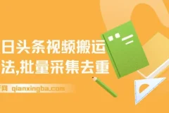 今日头条视频搬运玩法，软件一键去重，轻松日入500+附项目工具