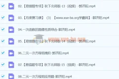 2024初二数学 郭济阳 北师版A+秋季班 下