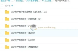 高中化学 2025高三高考化学 政哥李政 高考真题12小时精讲班