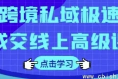 【跨境私域极速成交线上高级课】