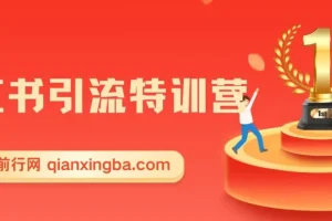 小红书引流特训营-第5期：教你零基础玩转小红书，逆袭百万流量大咖