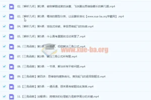 2024高三高考数学 小题狂刷营 1.0 树成林