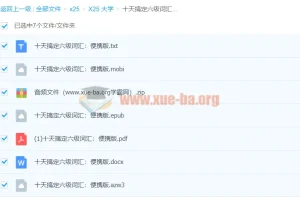 十天搞定六级词汇：便携版