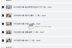 小学语文 小古文视频课程（38节）