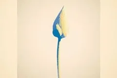 Uru《心得/紙一重》[无损FLAC/MP3/341MB]