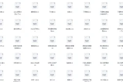 《长佩10w+收藏文105本》长佩文学网收藏 网文小说[txt]