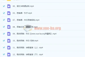 2022树成林平盖尔 高考语文冲刺课 47讲