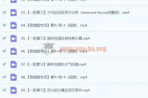 2023-2024初三物理 廉思佳物理 寒假班