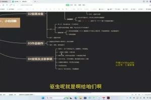 创作猫保姆级掘金计划:新手3天上手收益丰富