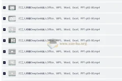 DeepSeek接入Office、WPS、Word、Excel、PPT 打工人神器