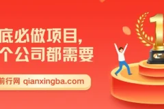 年底必做项目，每个公司都需要，今年别再错过了，0成本变现