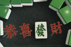 刘坚强 麻将学技术训练与技巧（完结）