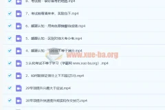 清华潘潘 清华方法高效考试攻略 教你学会考试 29讲完结