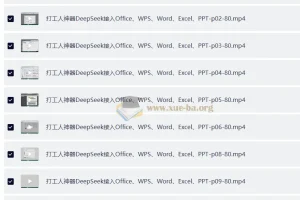 DeepSeek接入Office、WPS、Word、Excel、PPT 打工人神器