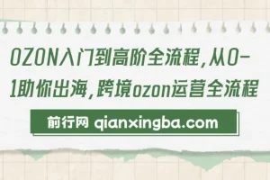 【精】OZON入门到高阶全流程，从0-1助你出海，跨境ozon运营全流程