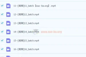 高考日语2400词全程精讲 词汇语法一起学