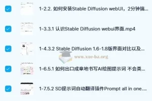 人工智能SD电商图实战，ai绘图0基础到精通（41节视频课）