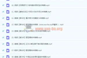 2024高中物理 高一林婉晴物理 暑假