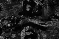 草东没有派对《瓦合》[无损FLAC/MP3/542MB]