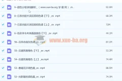 【抖音 青林调色课堂】青林手机修图系统课程299