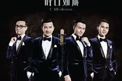 C AllStar《时日如飞 C AllCollection》[无损FLAC/MP3/1.05GB]