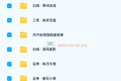 11套月升绘馆绘画课程合集