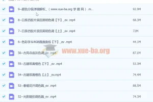 【抖音 青林调色课堂】青林手机修图系统课程299