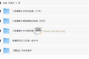 杨藩 汉字硬笔书写速成课（最全）