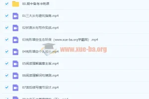 2024高二英语 张冰瑶英语 秋季班