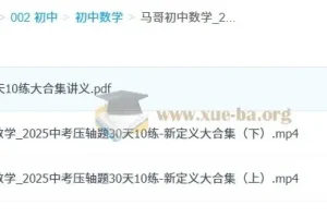 初中数学 2025中考压轴题30天10练 新定义大合集