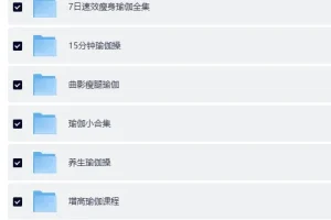 《瑜伽课程合集(七大系列)》[MP4]