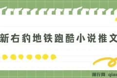 最新右豹地铁跑酷小说推文变现，日入2000+