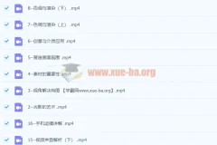 李辉手机视频拍摄美学课：从0基础开启用一部手机完成视频创作