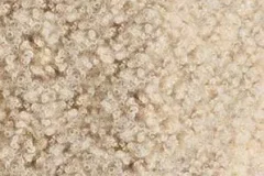 Doja Cat《Scarlet 2 CLAUDE》[无损FLAC/MP3/288MB]