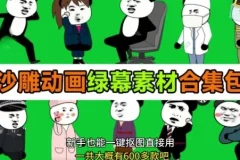 《600+套沙雕动画绿幕素材来了！最新购买，全中文分类》支持一键绿幕抠出使用[MP4]