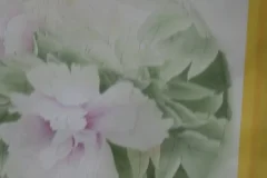 龚雪青工笔牡丹《牡丹小晴》3讲全集