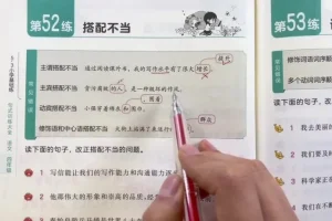 叶子老师小学语文句式修辞作文全攻略