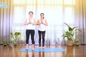 杨淇五行经络瑜伽：能量流养生7课