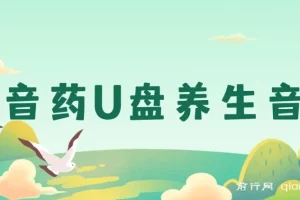 健康养生细分领域赛道，卖音药U盘养生音乐，轻松月赚一万+，可批量操作