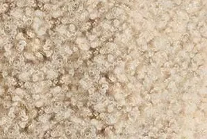 Doja Cat《Scarlet 2 CLAUDE》[无损FLAC/MP3/288MB]