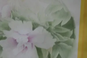 龚雪青工笔牡丹《牡丹小晴》3讲全集