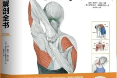 《拉伸训练解剖全书》100多幅高清动作解剖图[pdf]