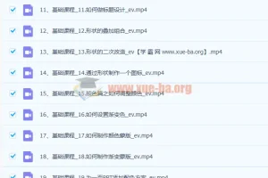 PPT高级进阶特训营 百万粉丝博主教你进阶你的PPT技能(98节课程+PPT素材包)