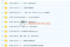 达吾力江文学常识专题课11讲带讲义